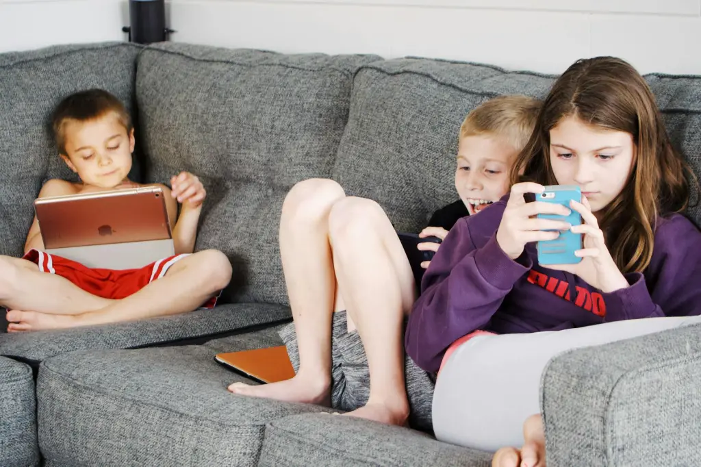 Children, technology and the Internet