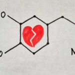 Dopamine Love: How We Get Hooked on Someone