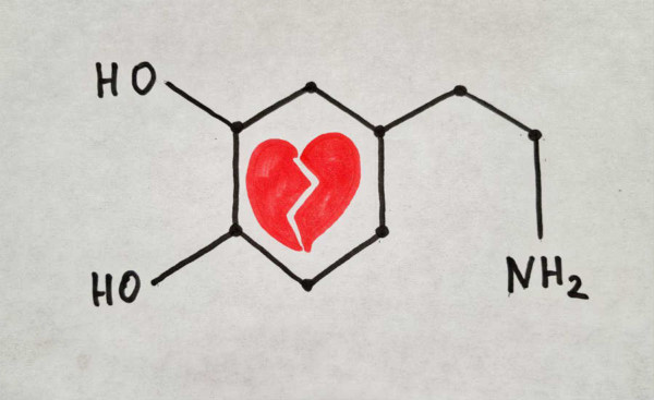 Dopamine Love: How We Get Hooked on Someone